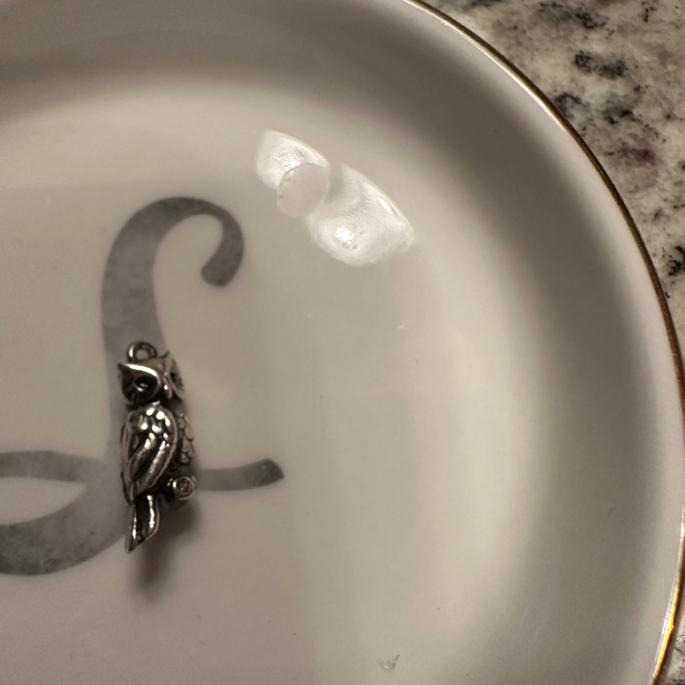Silver Owl Charm